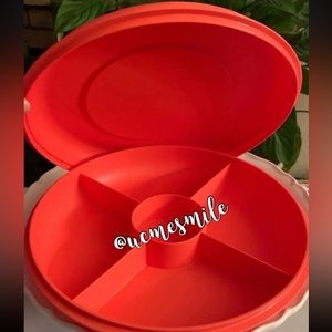 Tupperware Vegetable Snack Tray